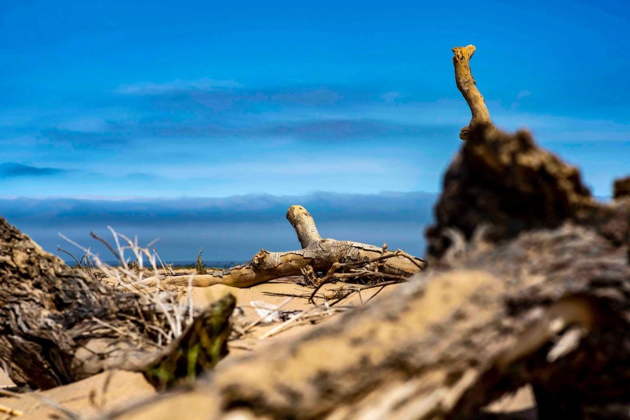 Shipwreck Lodge Mowebaai 외부 사진
